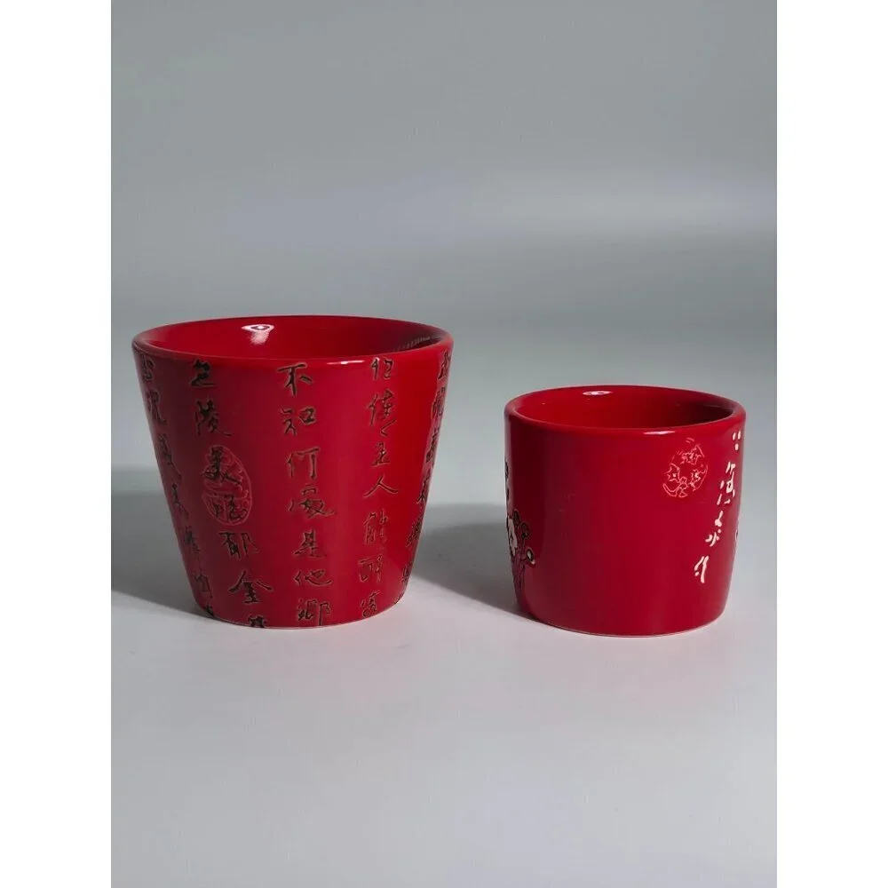Cost Plus World Market these ceramic